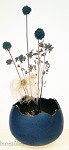 bloemensetje